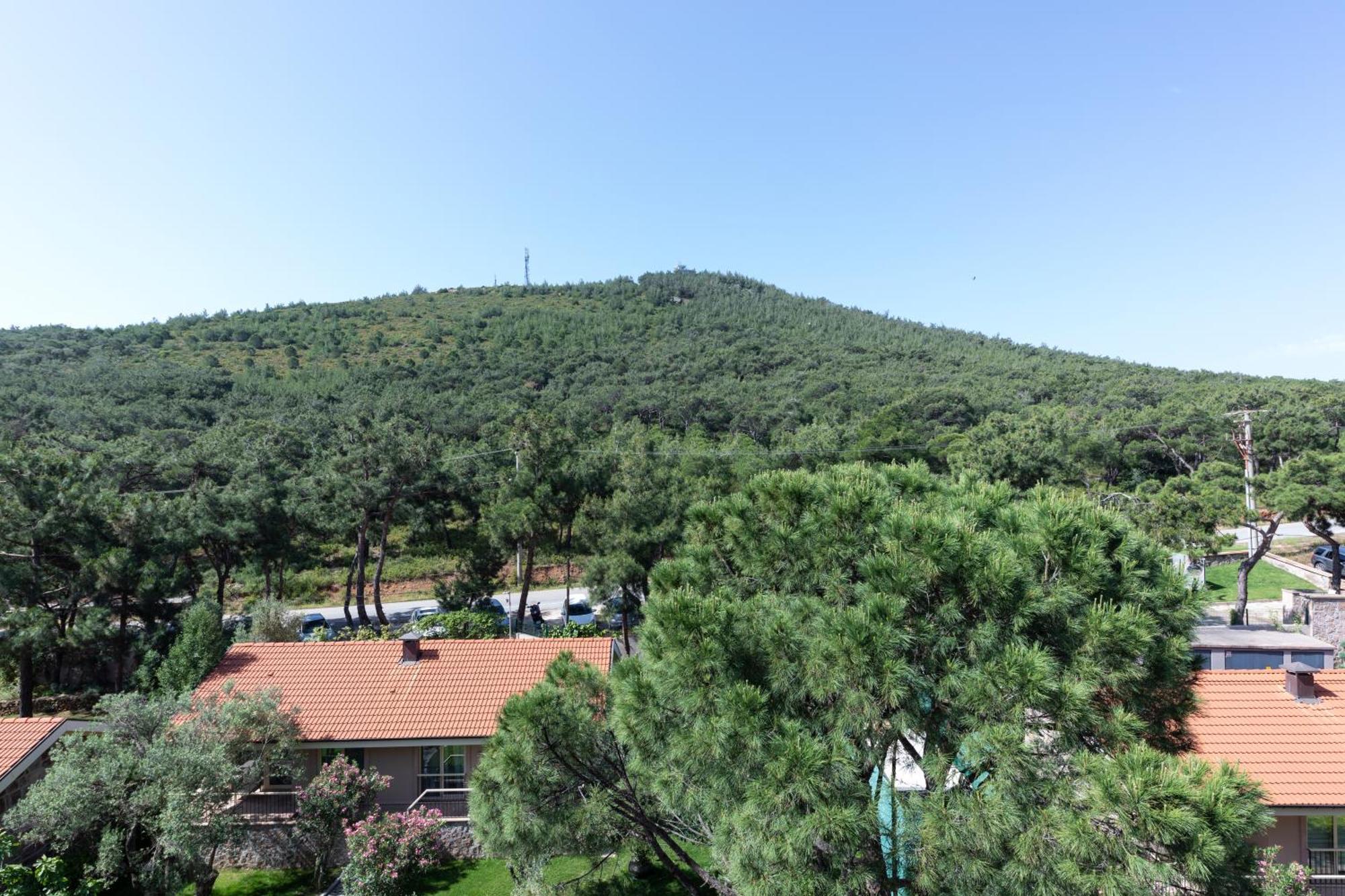 D - Resort Ayvalik Room photo